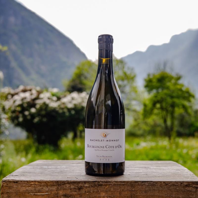 Bourgogne Cote d'Or Blanc 2023