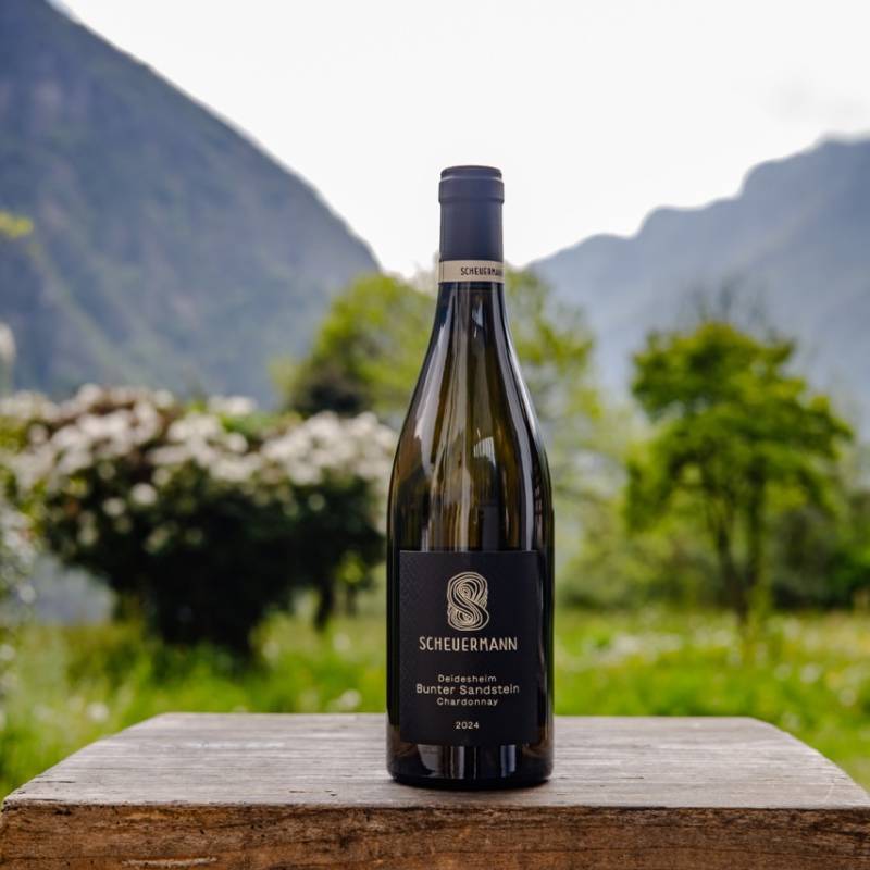 Deidesheim Bunter Sandstein 2024