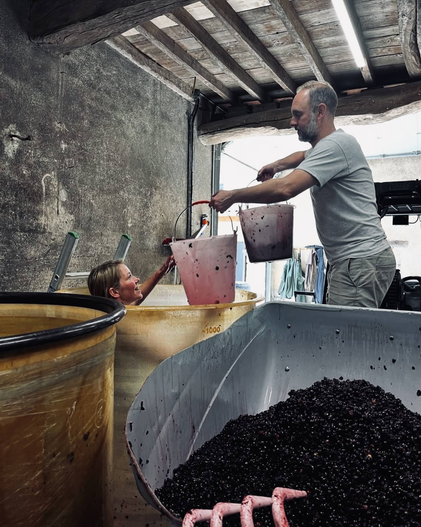 Wild Vigneron masterclass Horeca