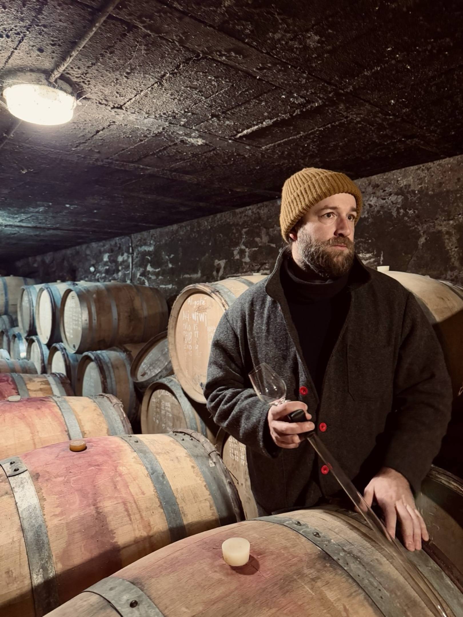 Wild Vigneron masterclass Horeca