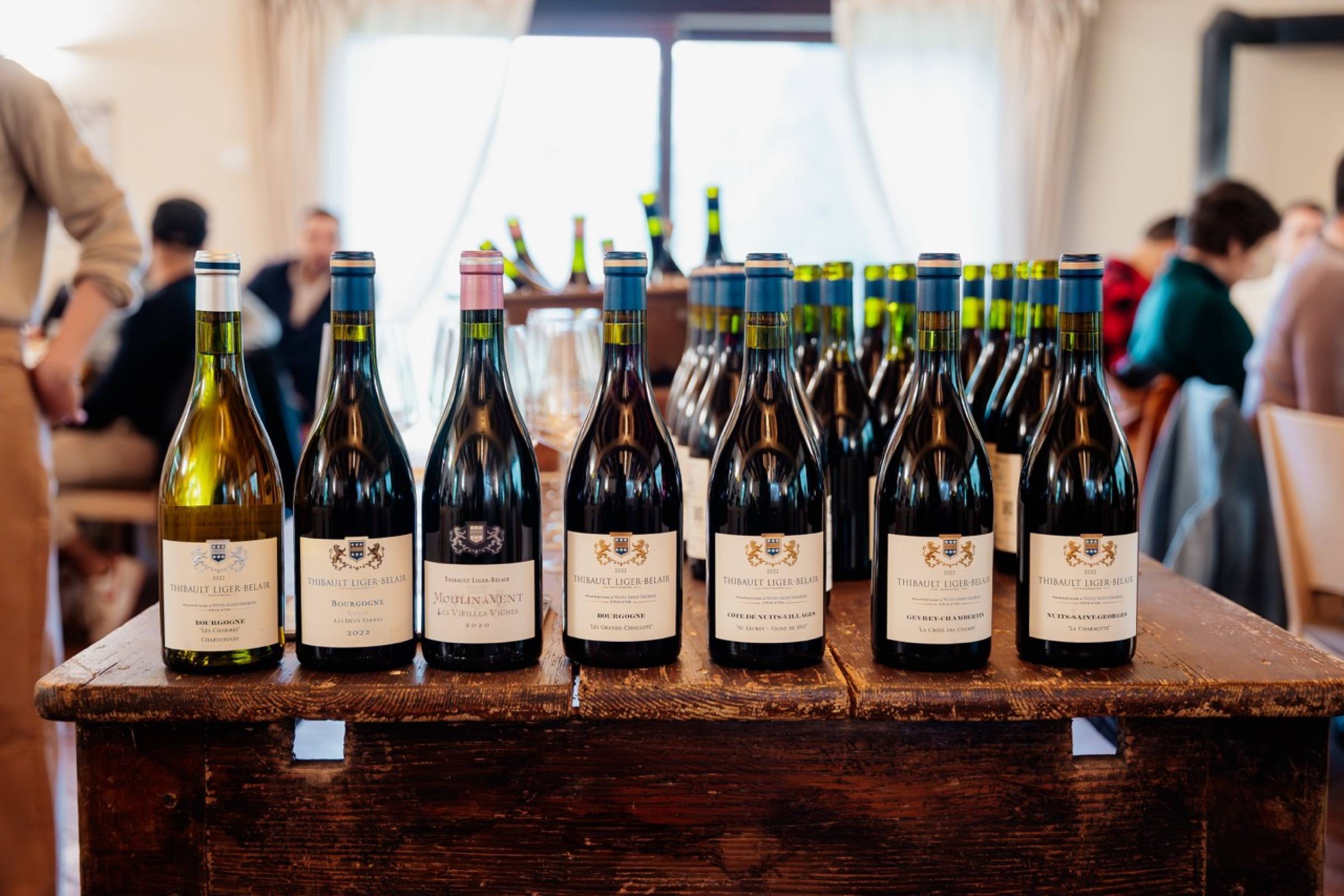 Wild Vigneron masterclass Horeca