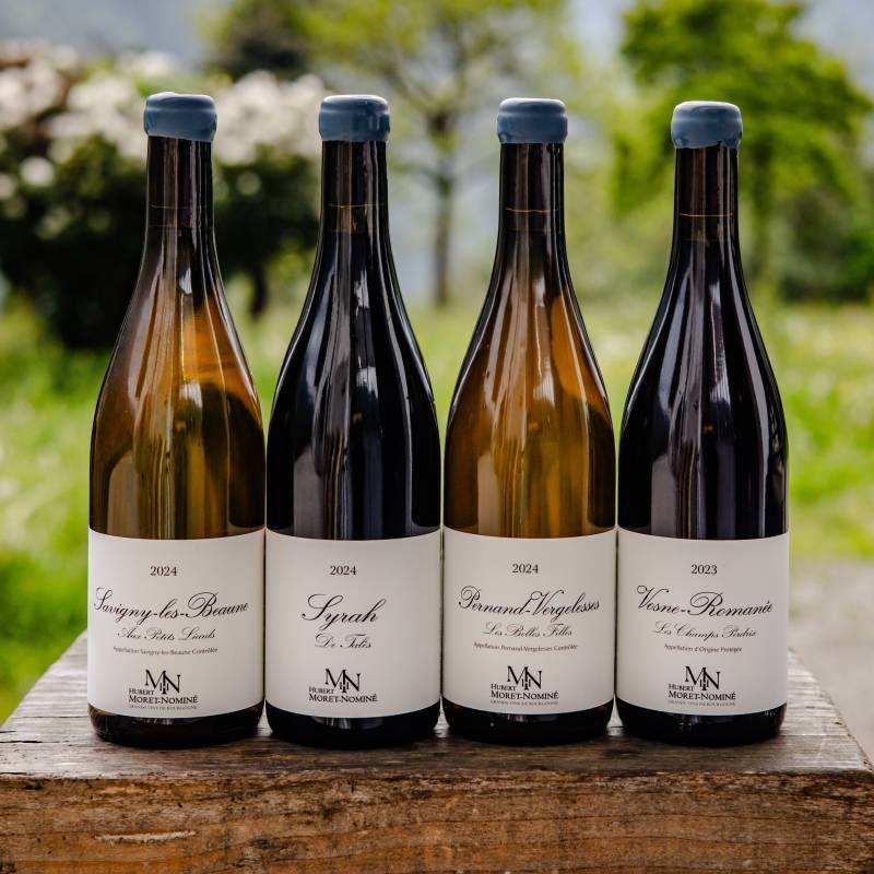 Pernand vergelesses blanc Les belles filles