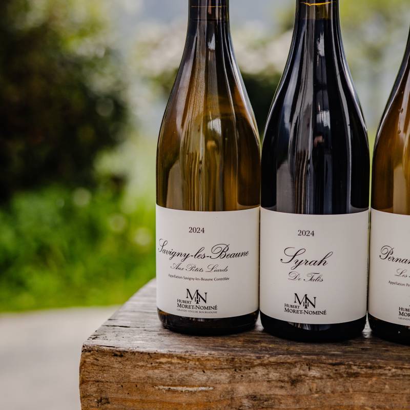Vosne romanee les champs perdrix rouge