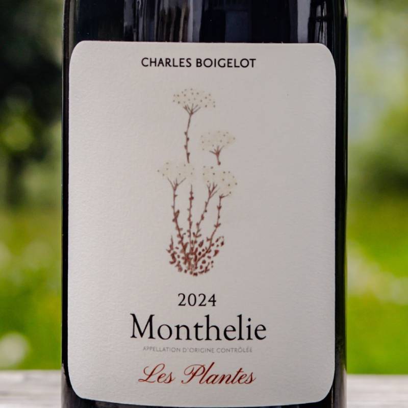Monthélie Les Plantes