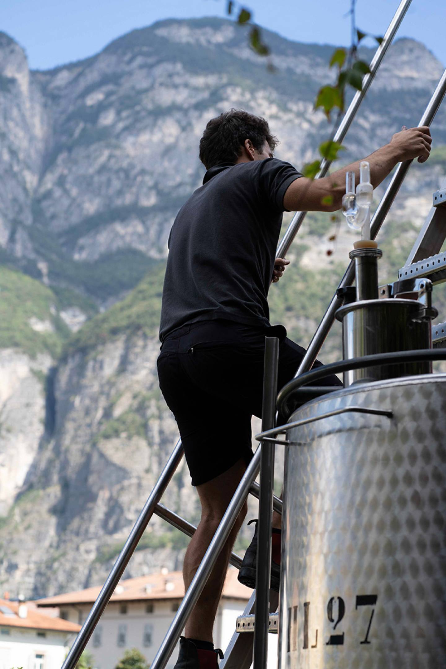 Foradori: beyond biodynamics, towards the Individuality of terroir