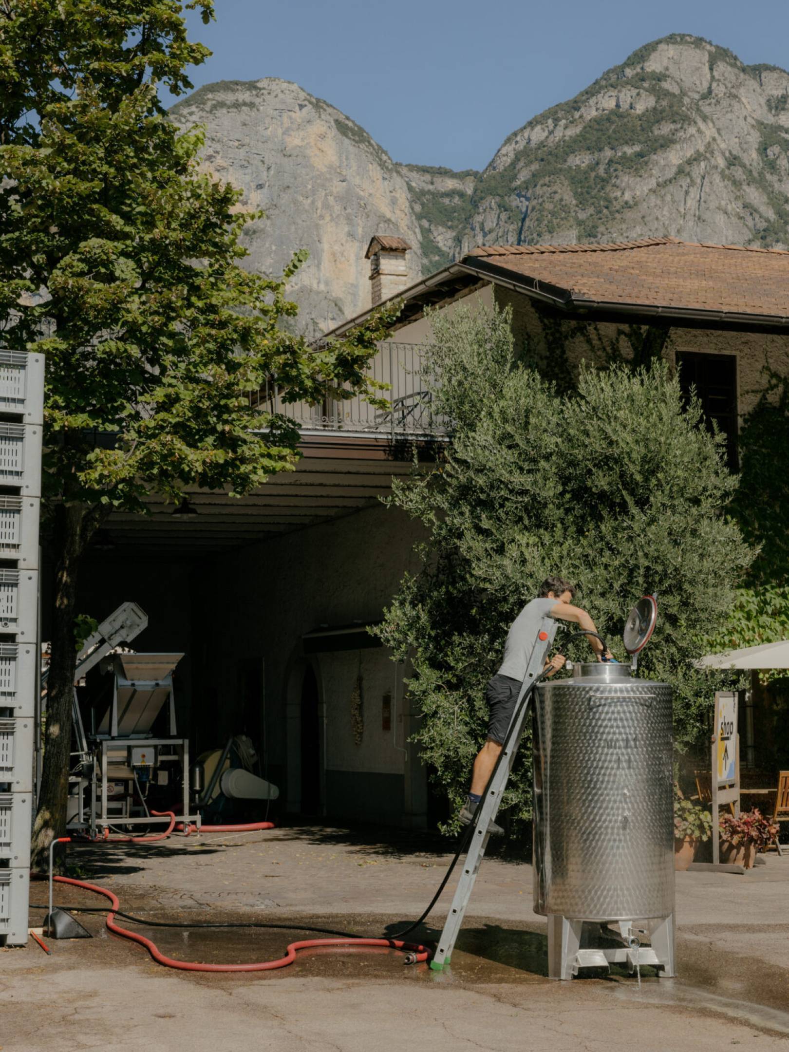 Foradori: beyond biodynamics, towards the Individuality of terroir