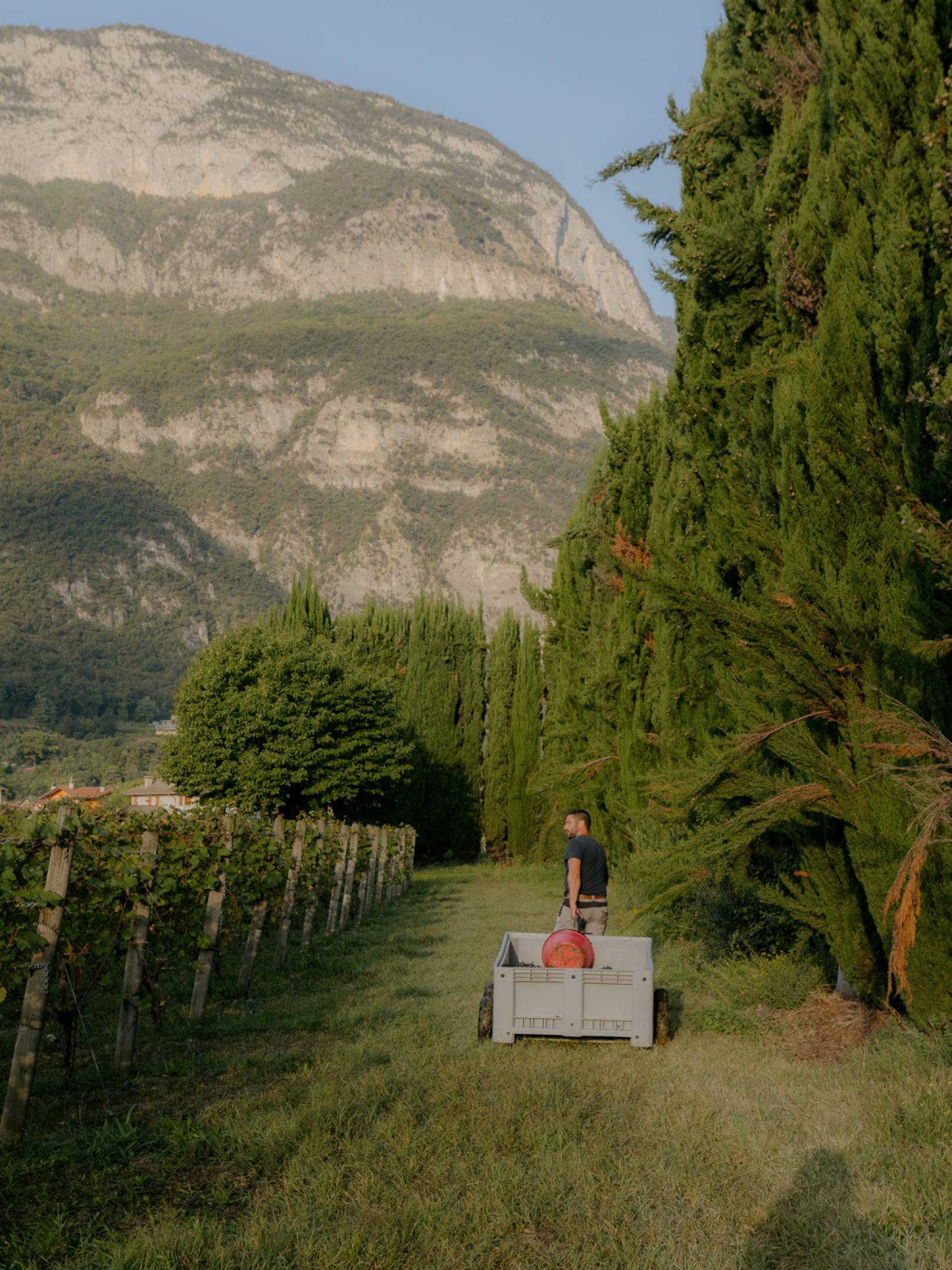 Foradori: beyond biodynamics, towards the Individuality of terroir