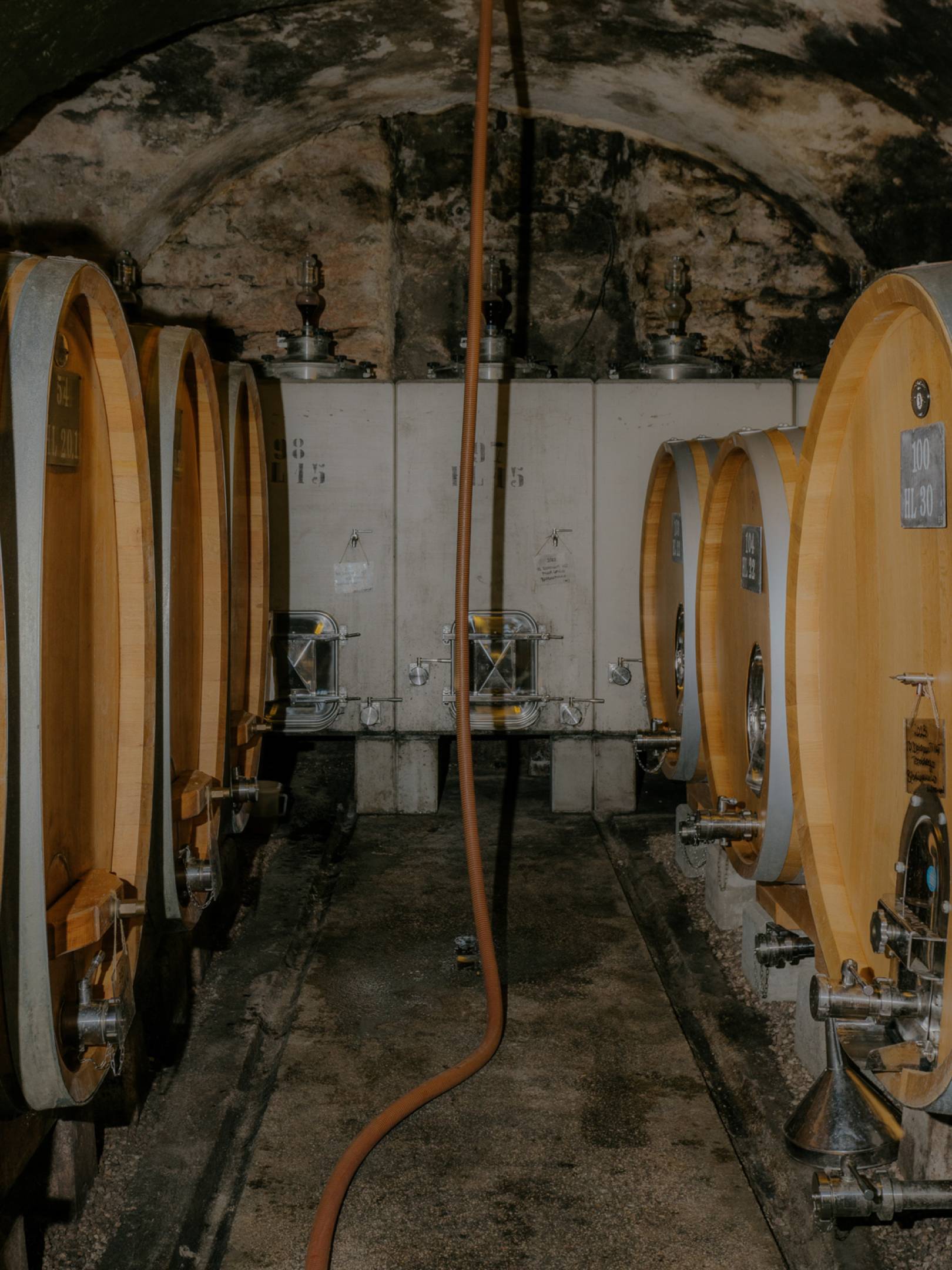 Foradori: beyond biodynamics, towards the Individuality of terroir