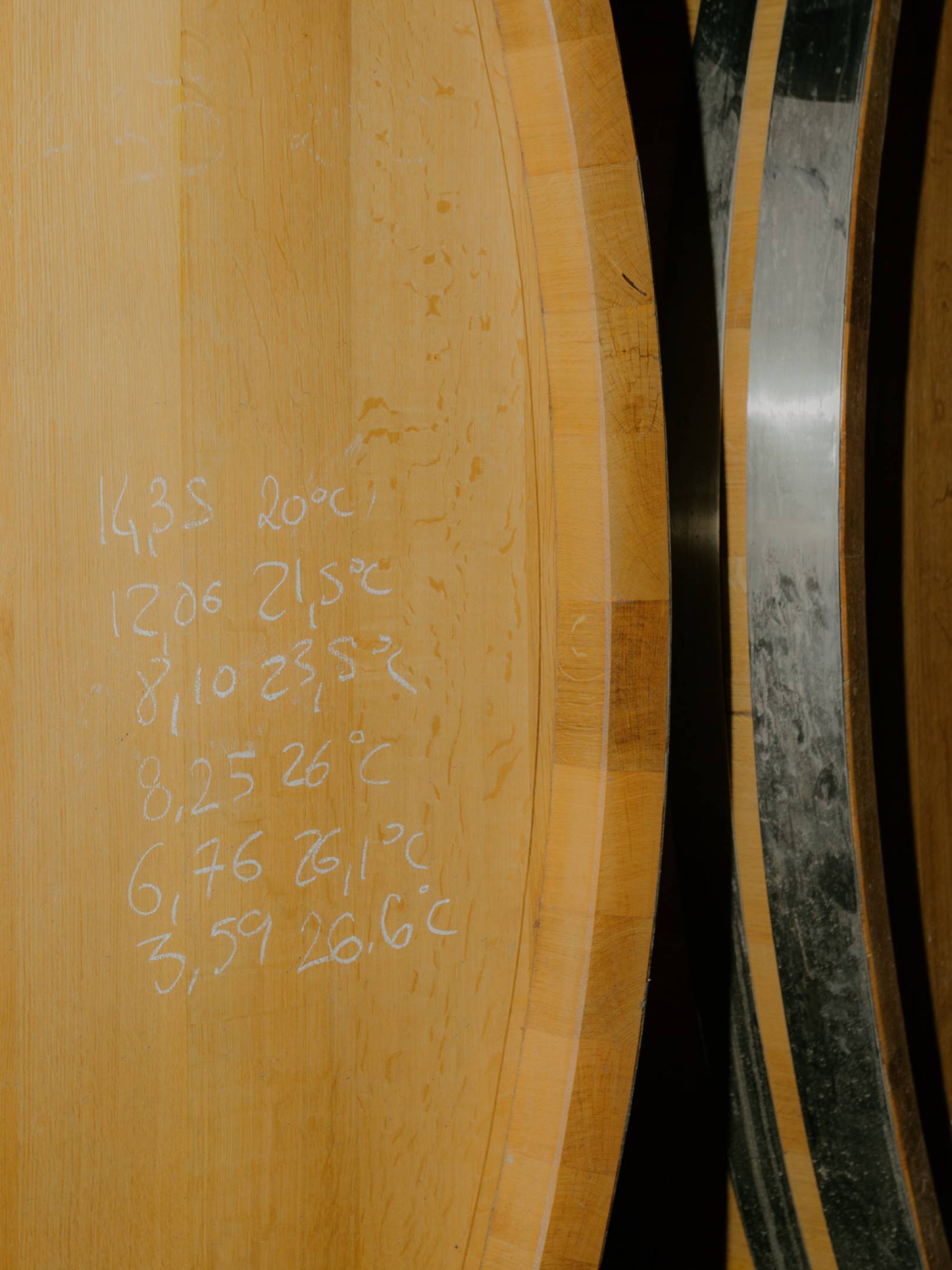 Foradori: beyond biodynamics, towards the Individuality of terroir