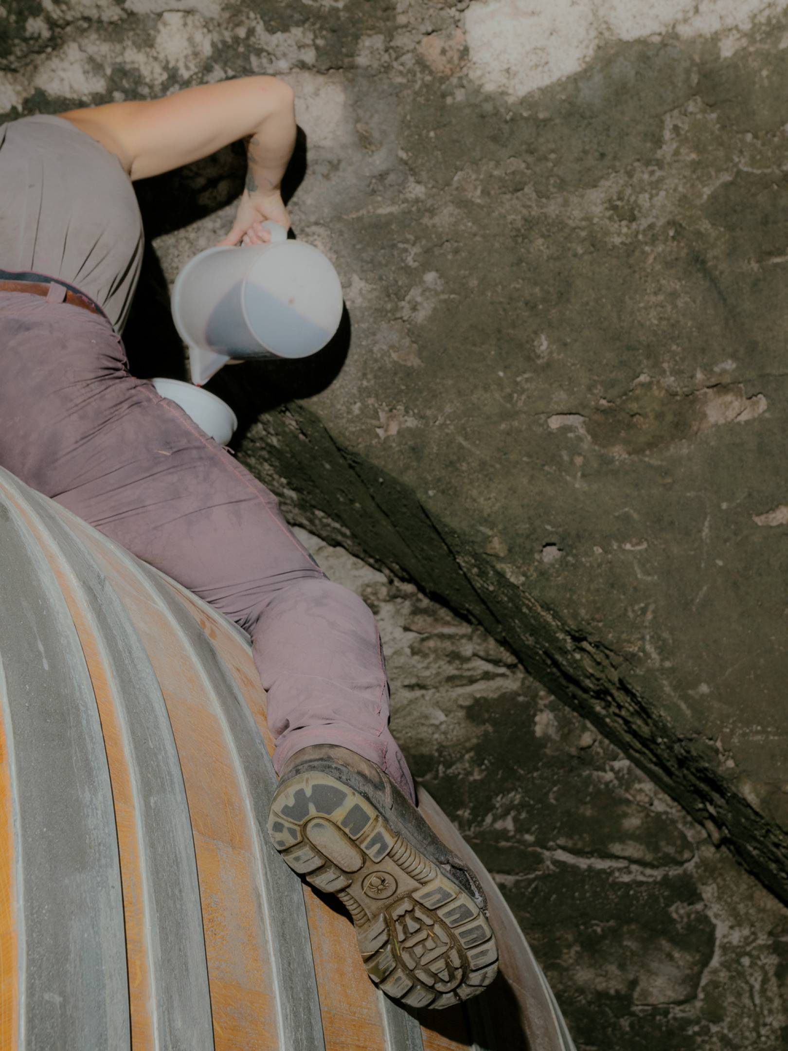 Foradori: beyond biodynamics, towards the Individuality of terroir