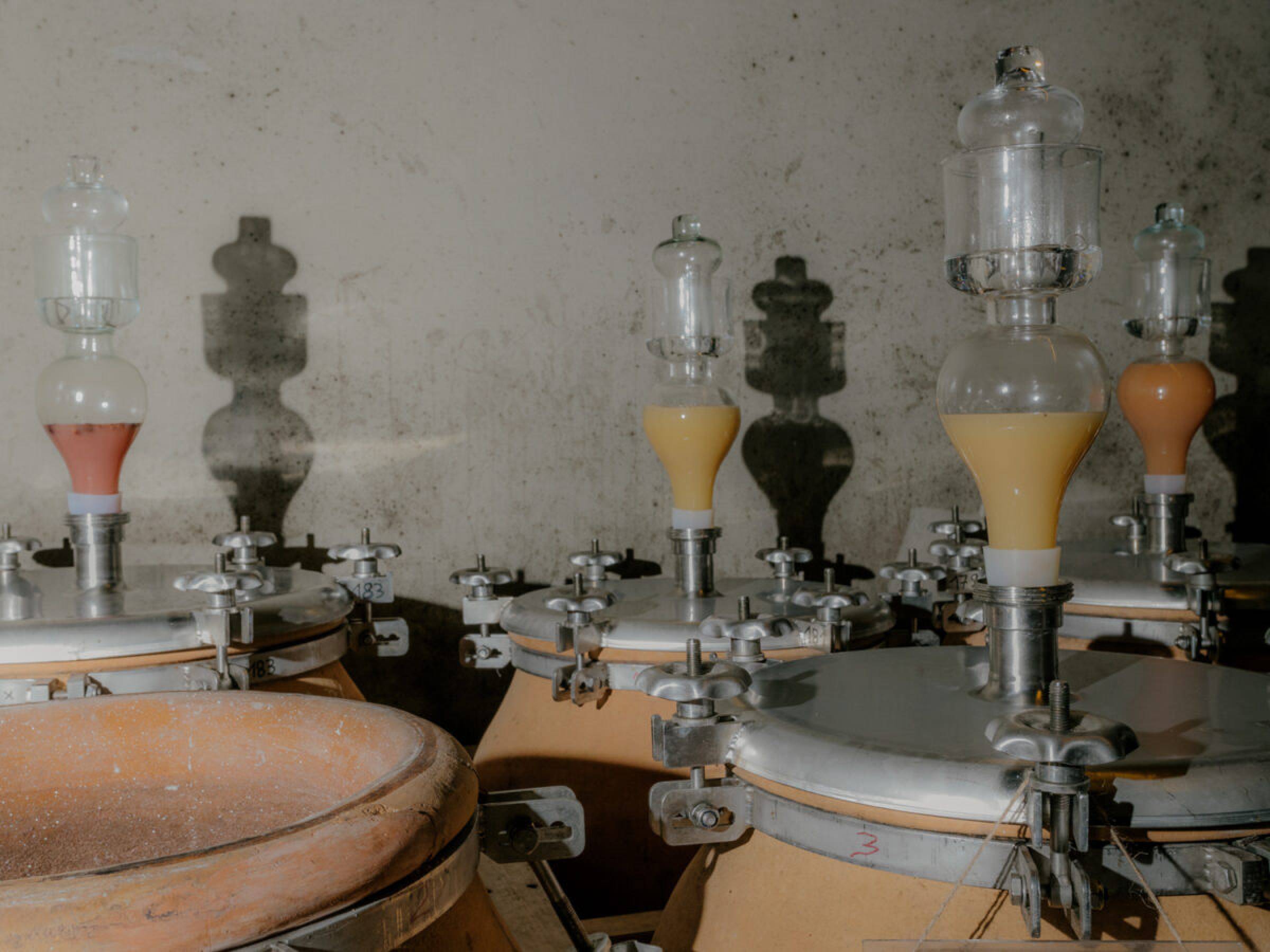 Foradori: beyond biodynamics, towards the Individuality of terroir