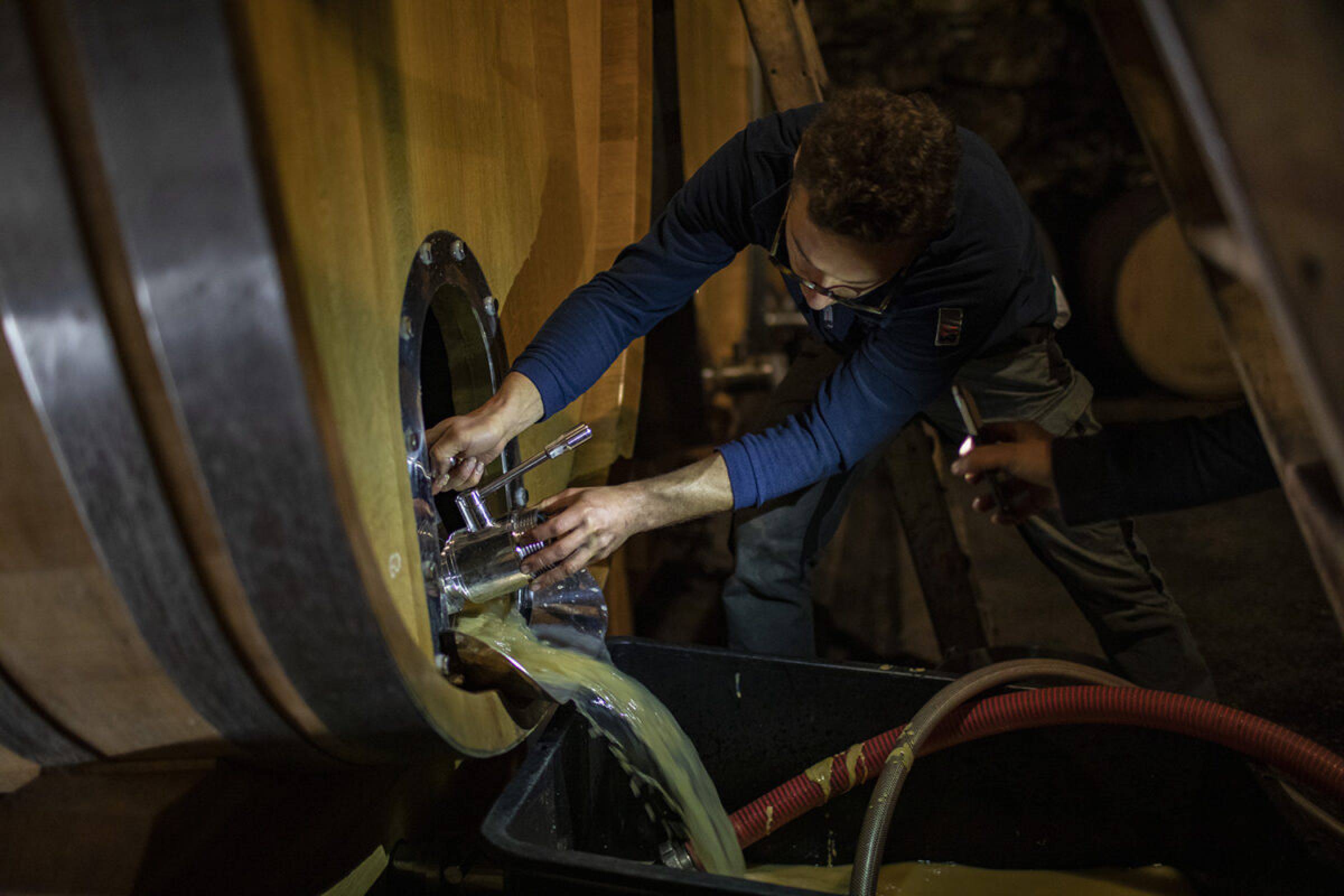 Foradori: beyond biodynamics, towards the Individuality of terroir