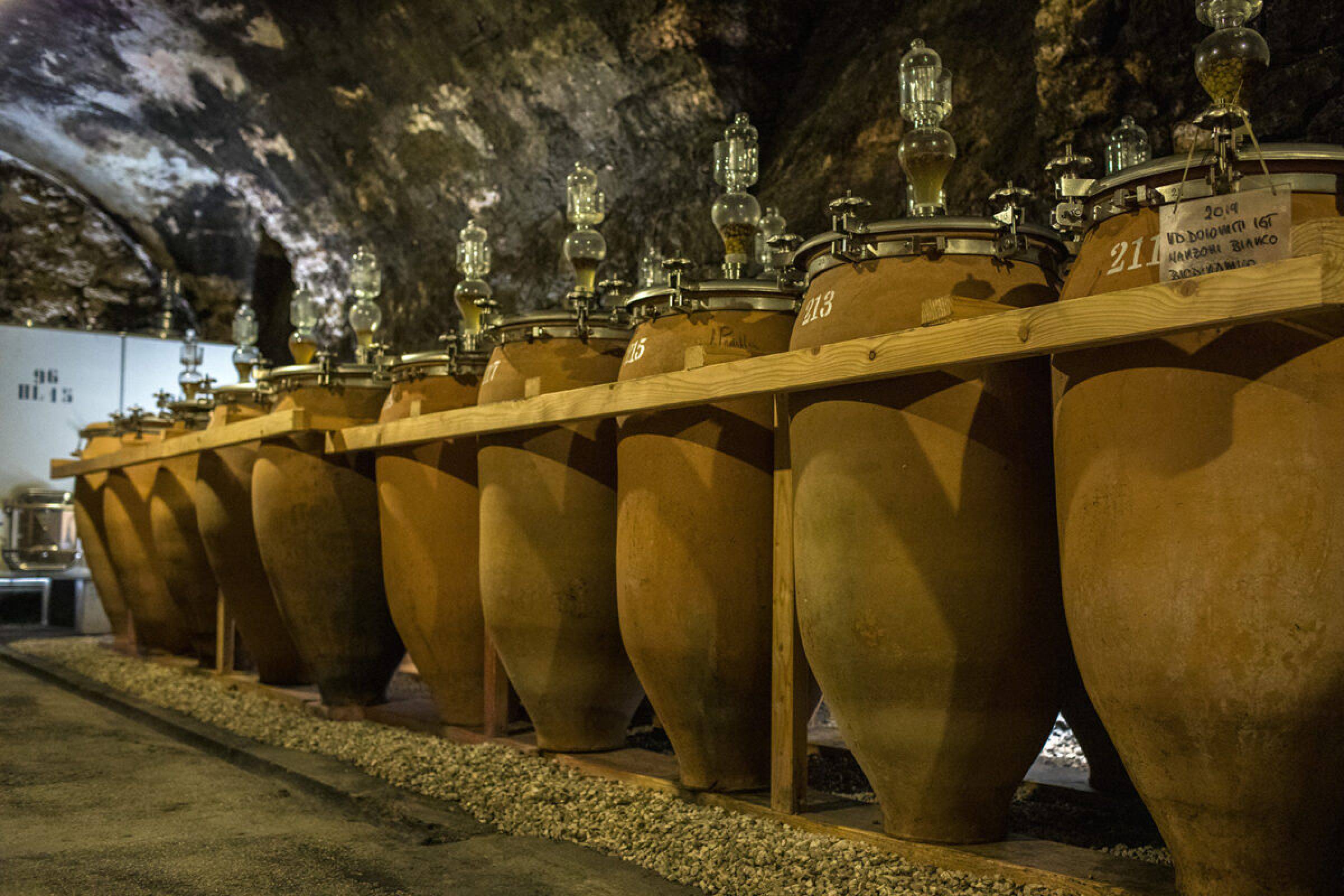 Foradori: beyond biodynamics, towards the Individuality of terroir