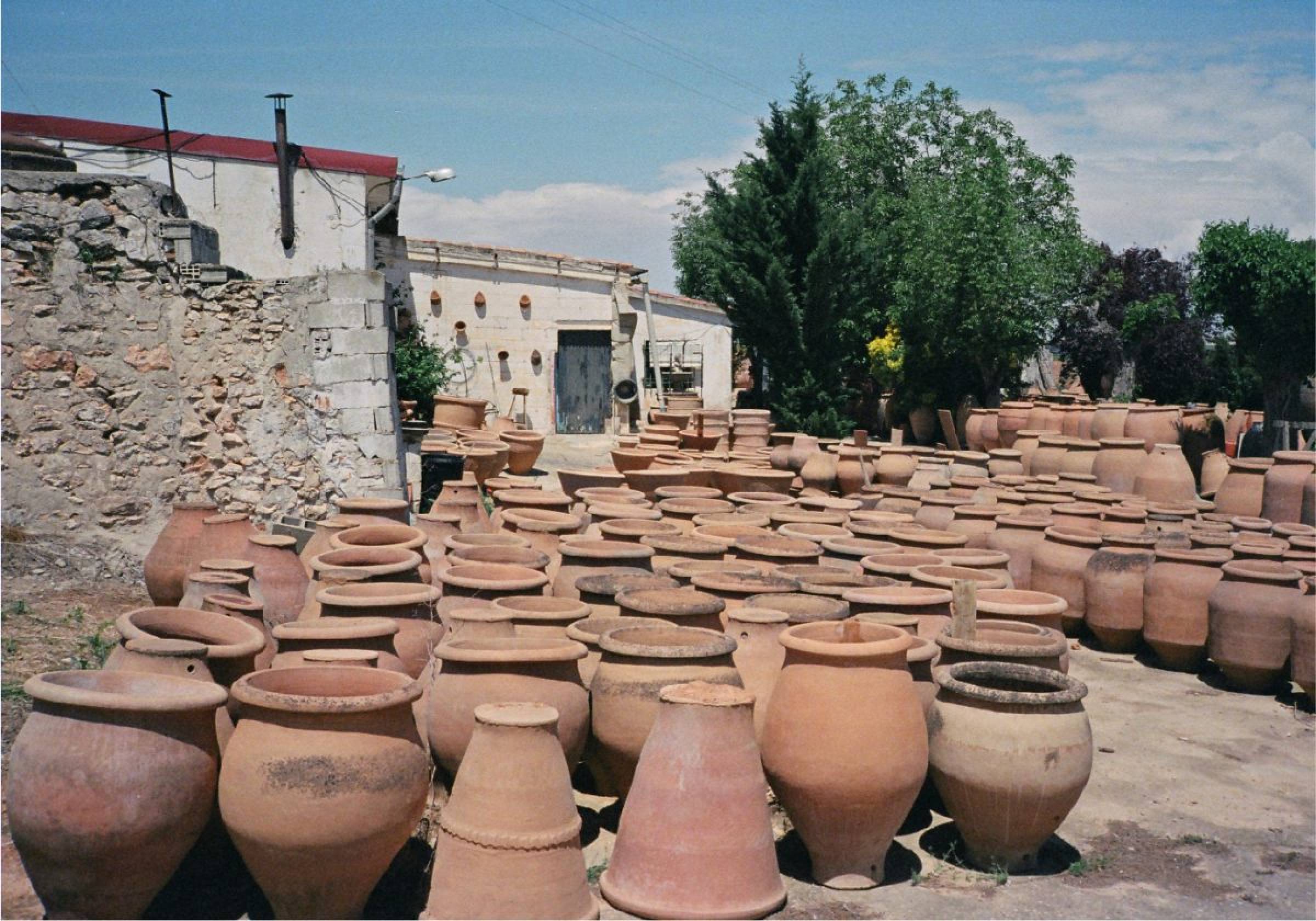 Foradori: beyond biodynamics, towards the Individuality of terroir