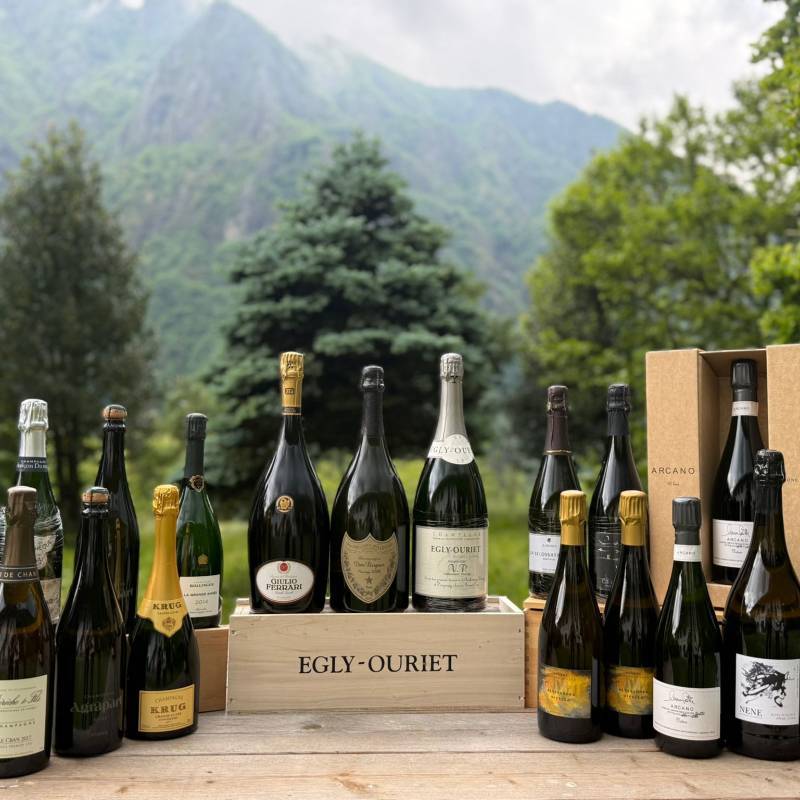 WILD VIGNERON DROP - Bolle: Italia vs Champagne
