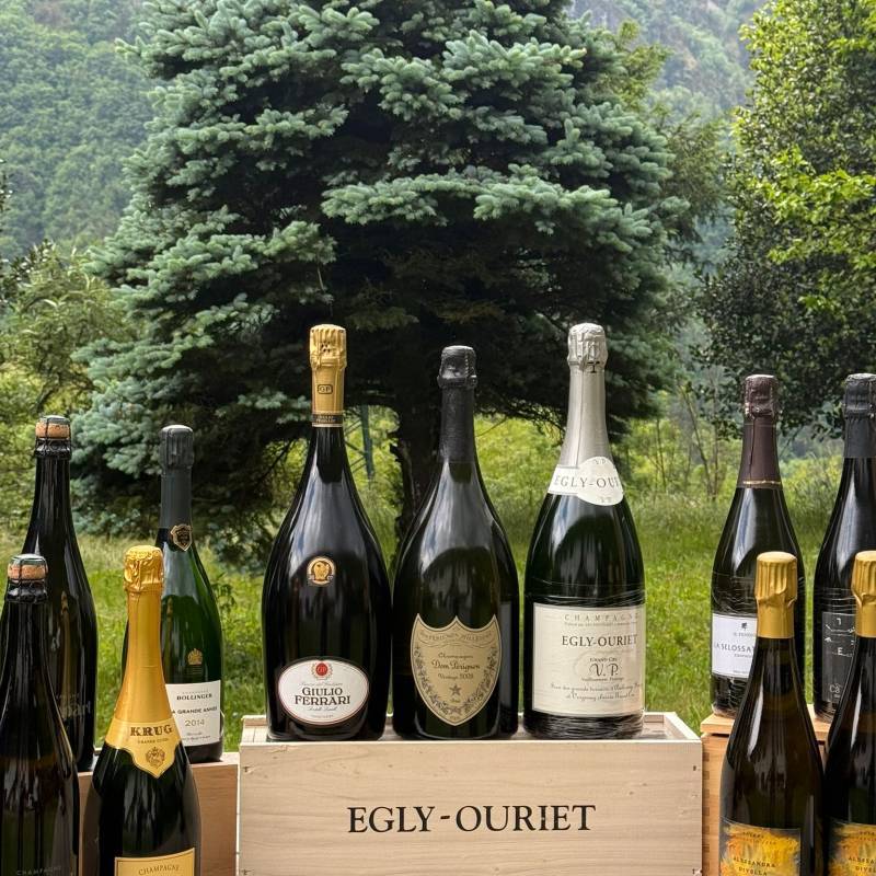 WILD VIGNERON DROP - Bolle: Italia vs Champagne