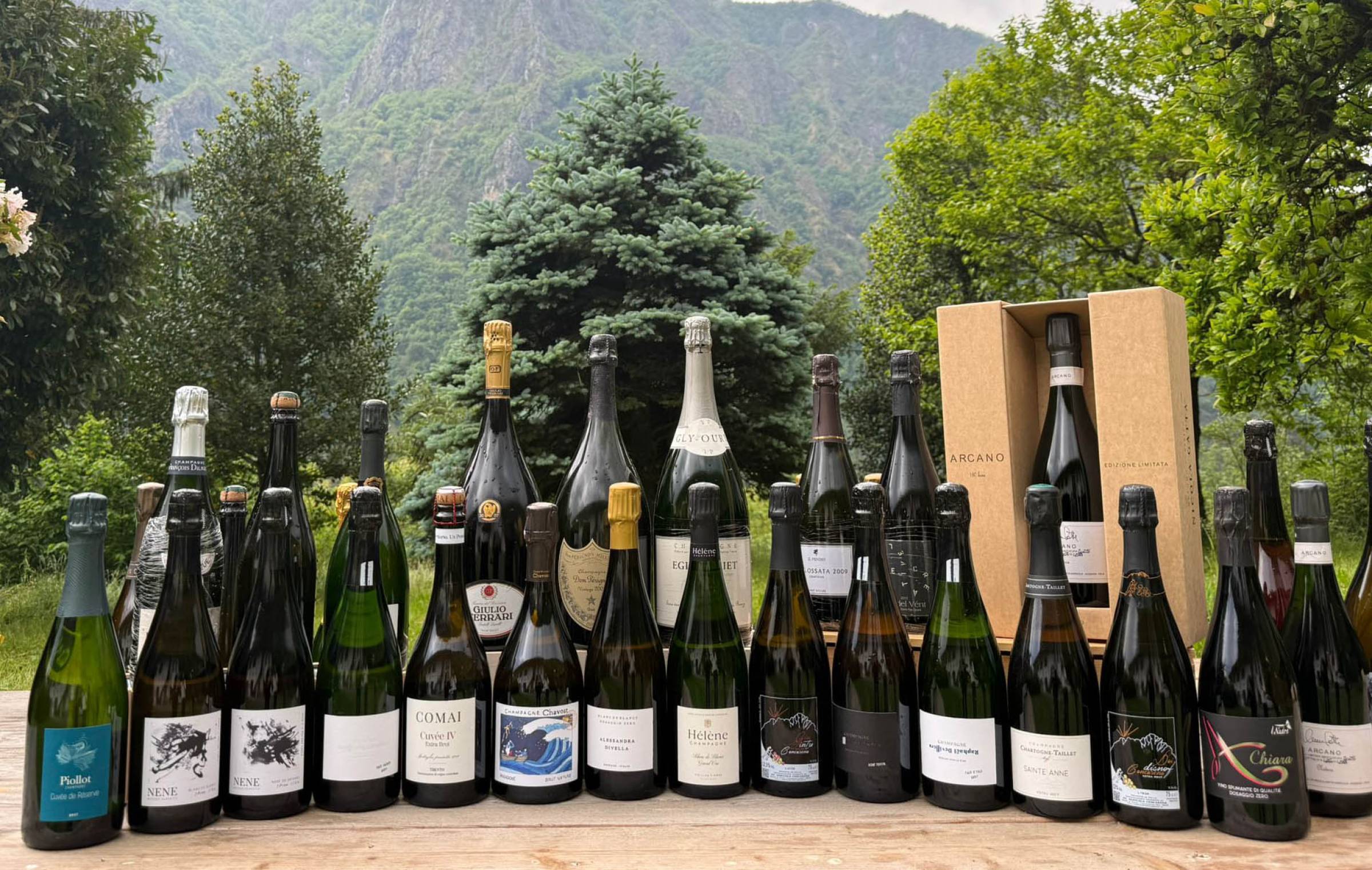 WILD VIGNERON DROP - Bolle: Italia vs Champagne