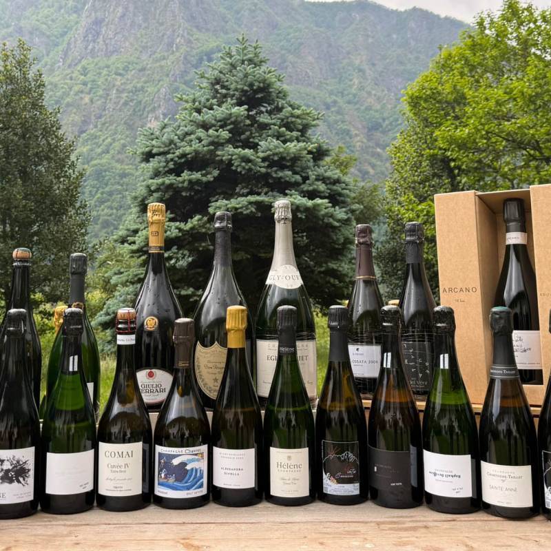 WILD VIGNERON DROP - Bolle: Italia vs Champagne