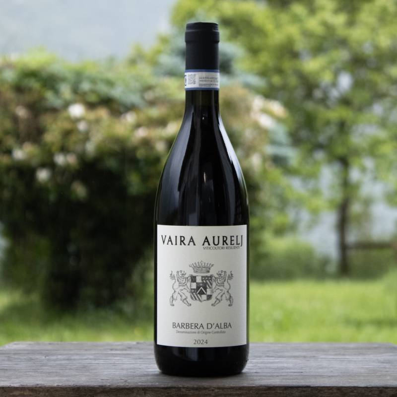 Barbera d'Alba
