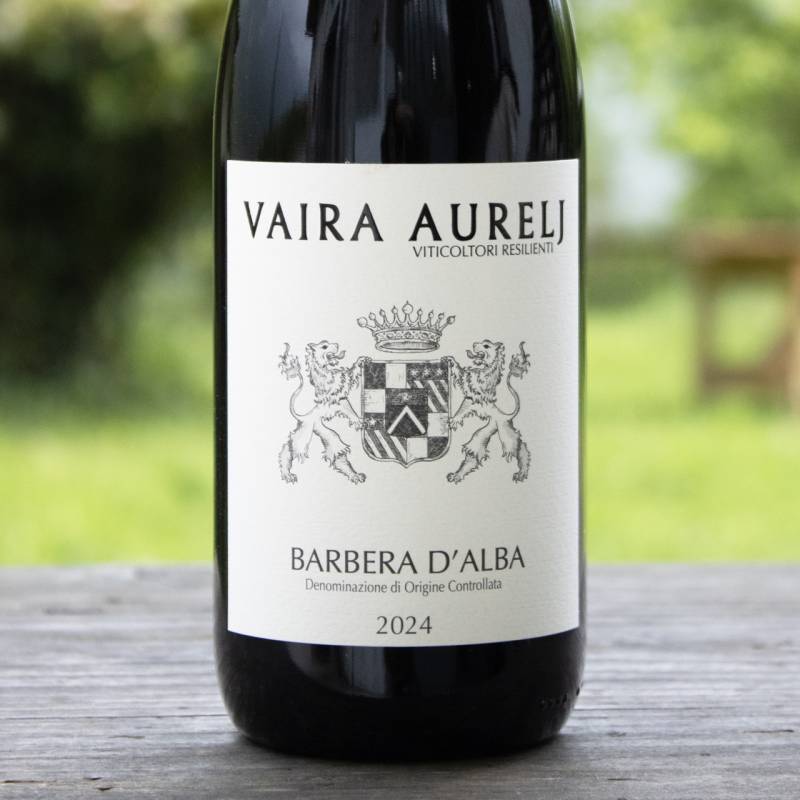 Barbera d'Alba
