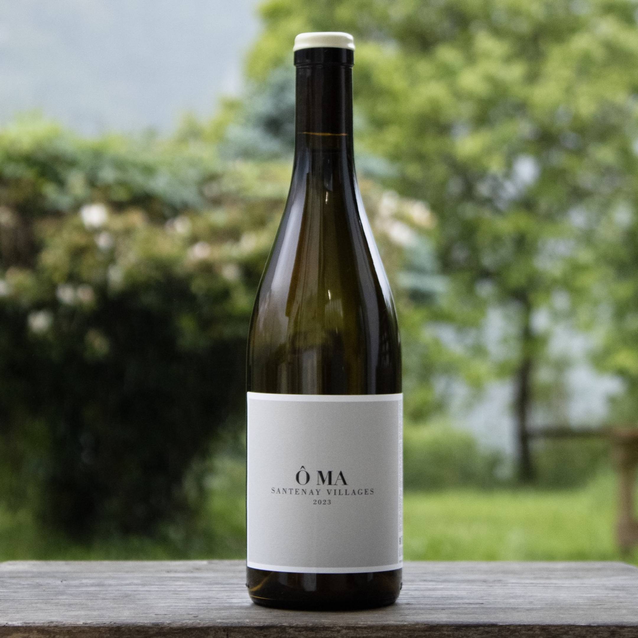 OMA Santenay Santenay Villages Blanc