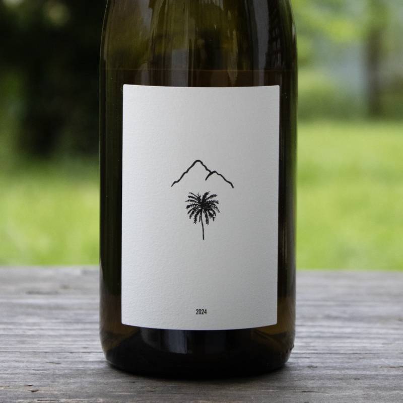 Foradori Manzoni Bianco