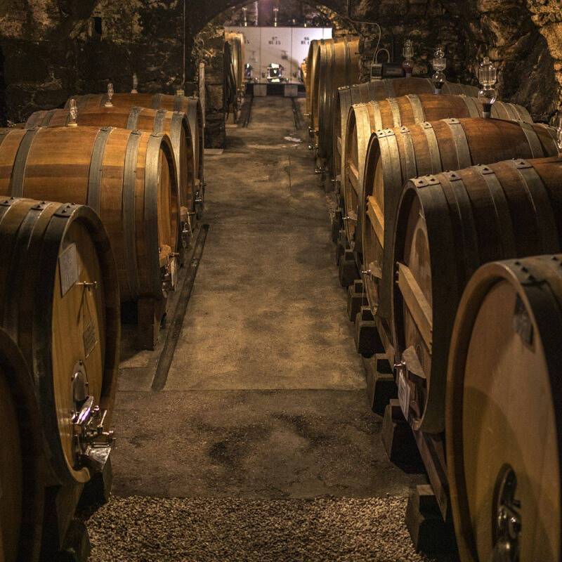 Sgarzon Teroldego
