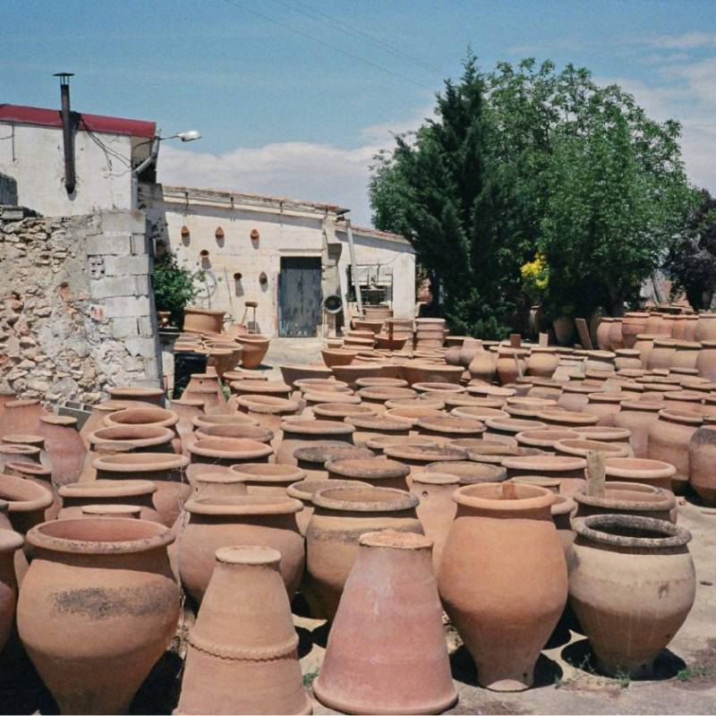 Morei Teroldego Cilindrica