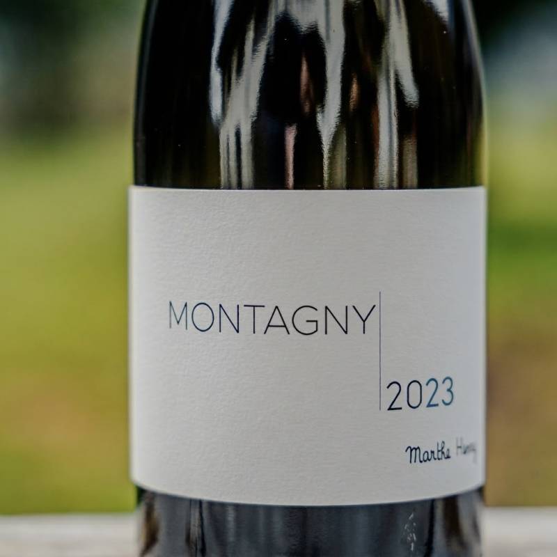 Montagny Blanc