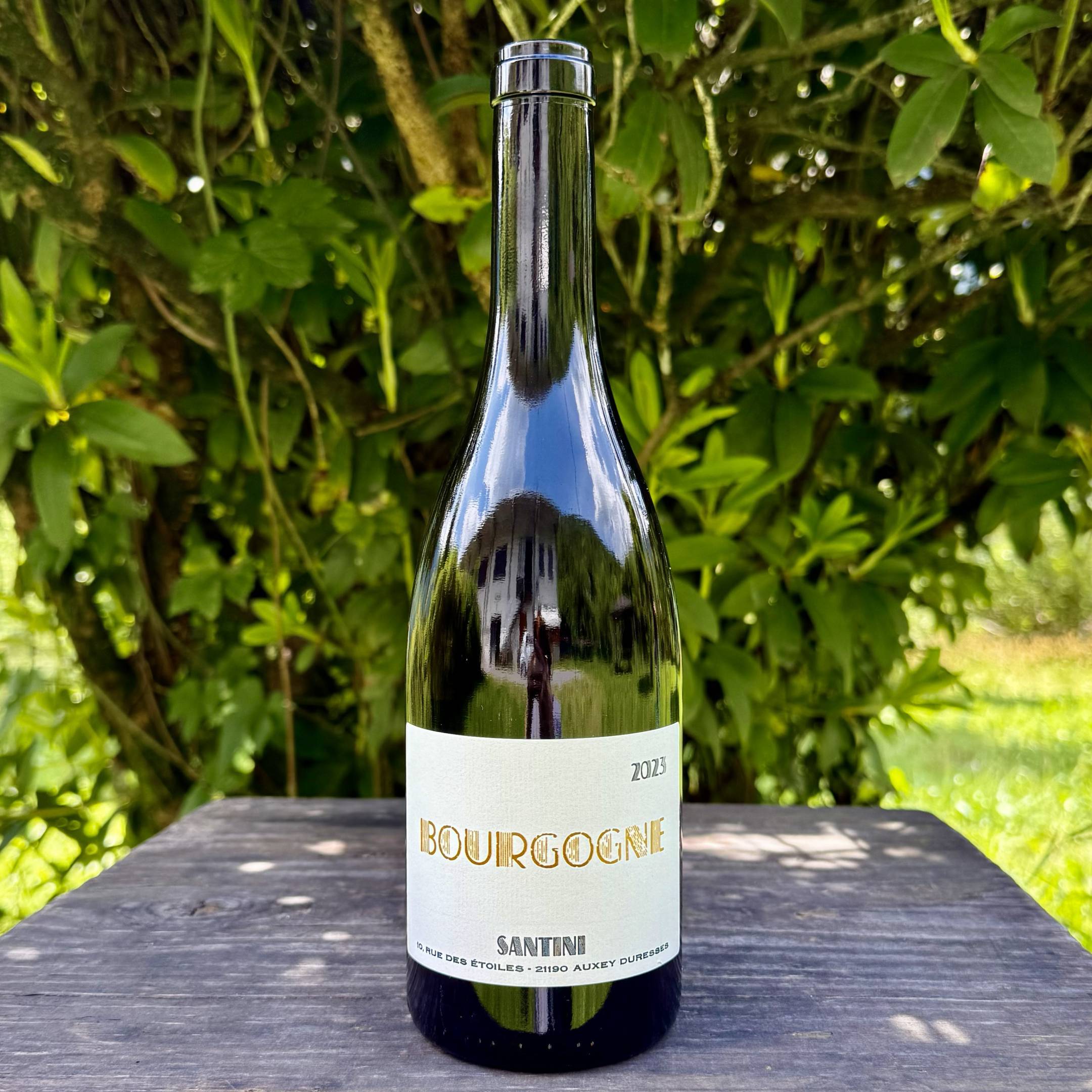 Santini Bourgogne Blanc