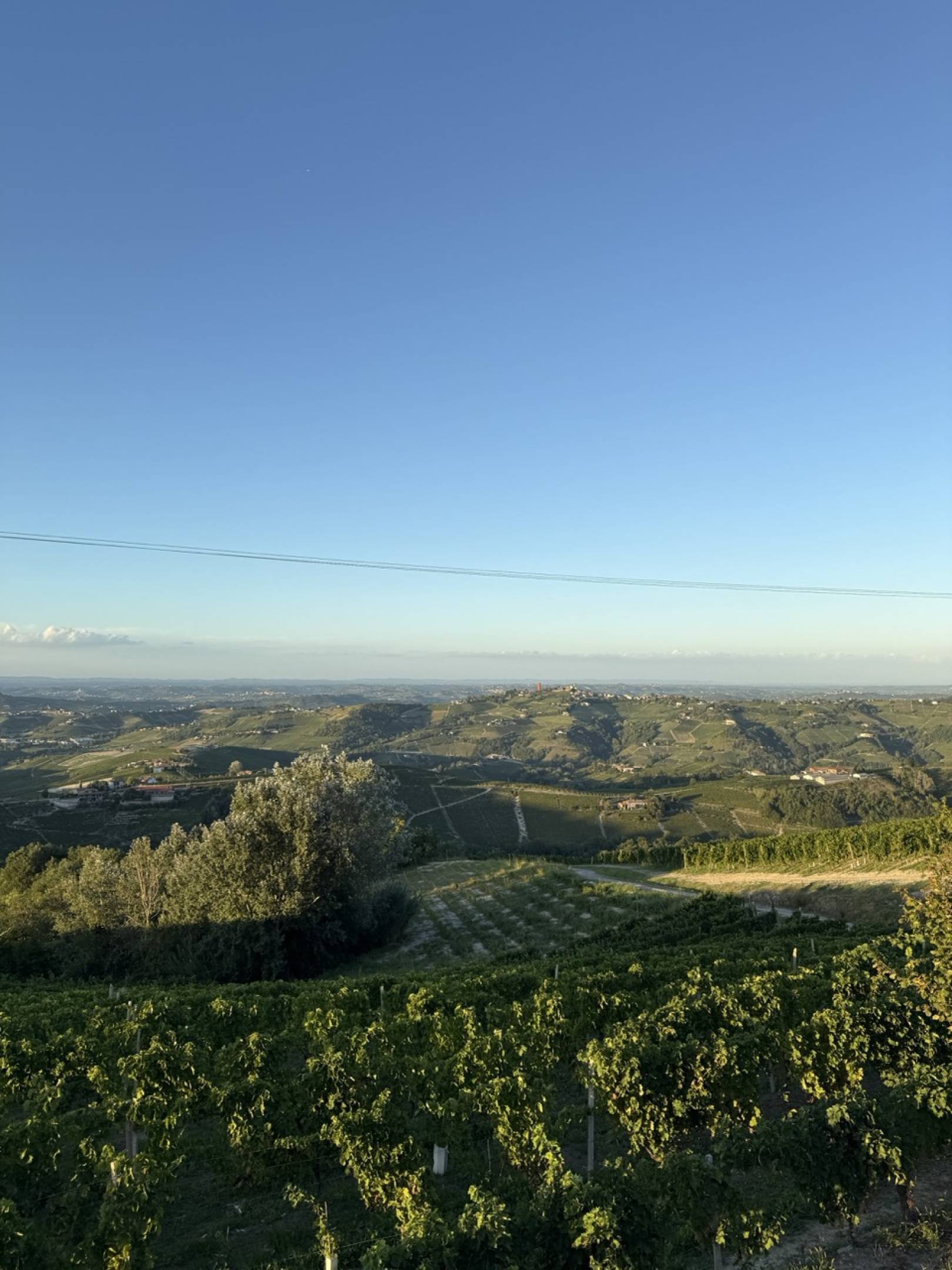 Azienda Agricola Nene: bollicine artigianali nelle Langhe