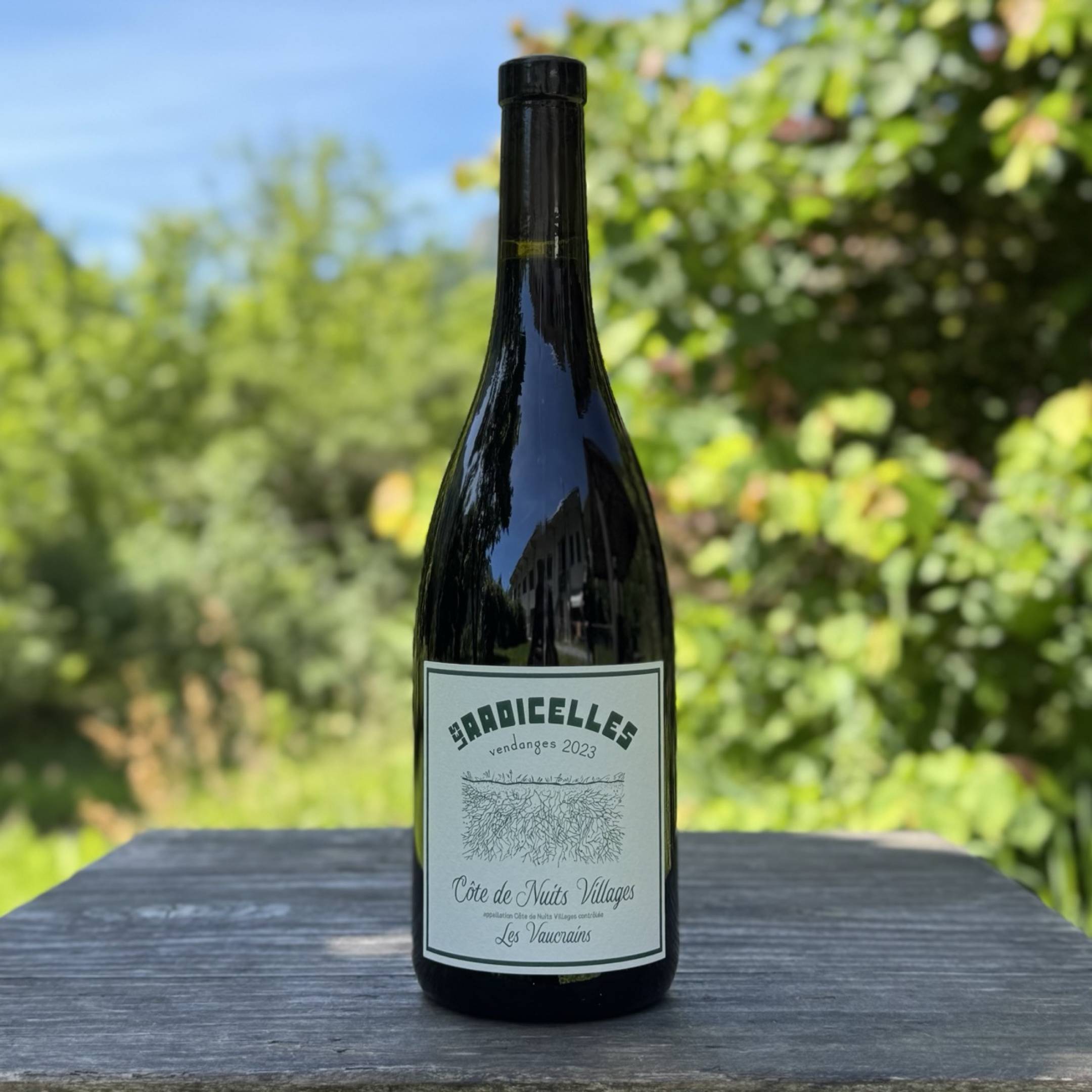 Les Radicelles Cote de Nuits Villages Le Vaucrin