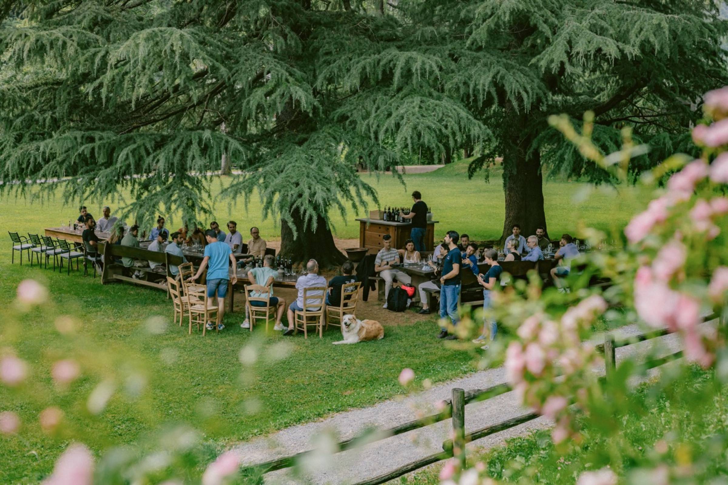 Questo giugno ti regaliamo una serata con i vignaioli