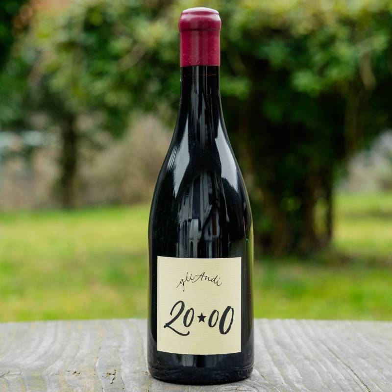WILD VIGNERON DROP - Fausto Andi Limited Edition