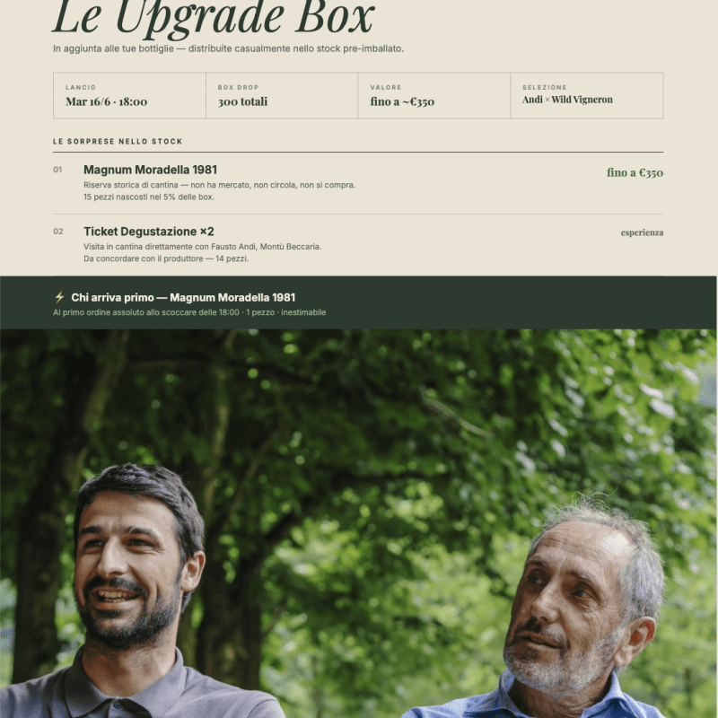 WILD VIGNERON DROP - Fausto Andi Limited Edition