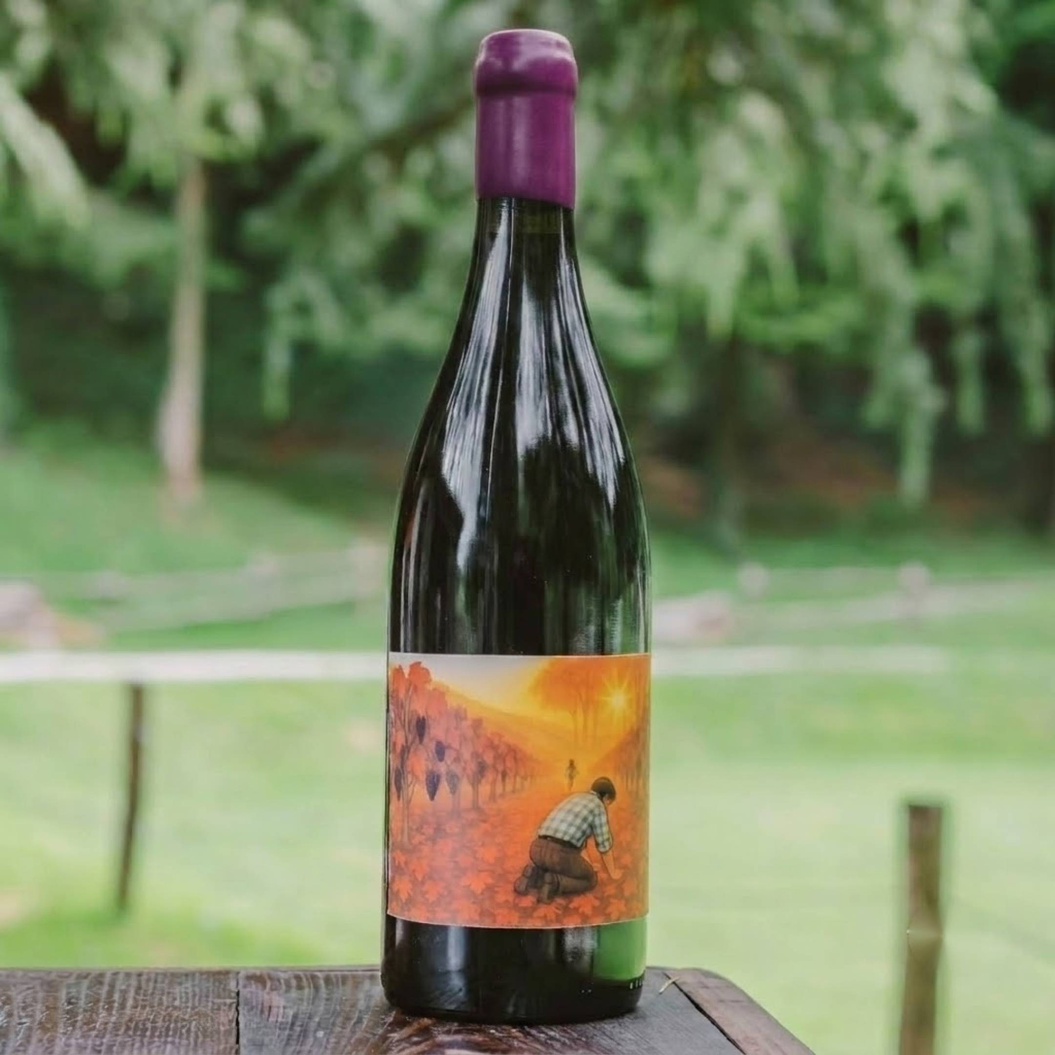 Fausto Andi Pinot Nero Vecchie Vigne