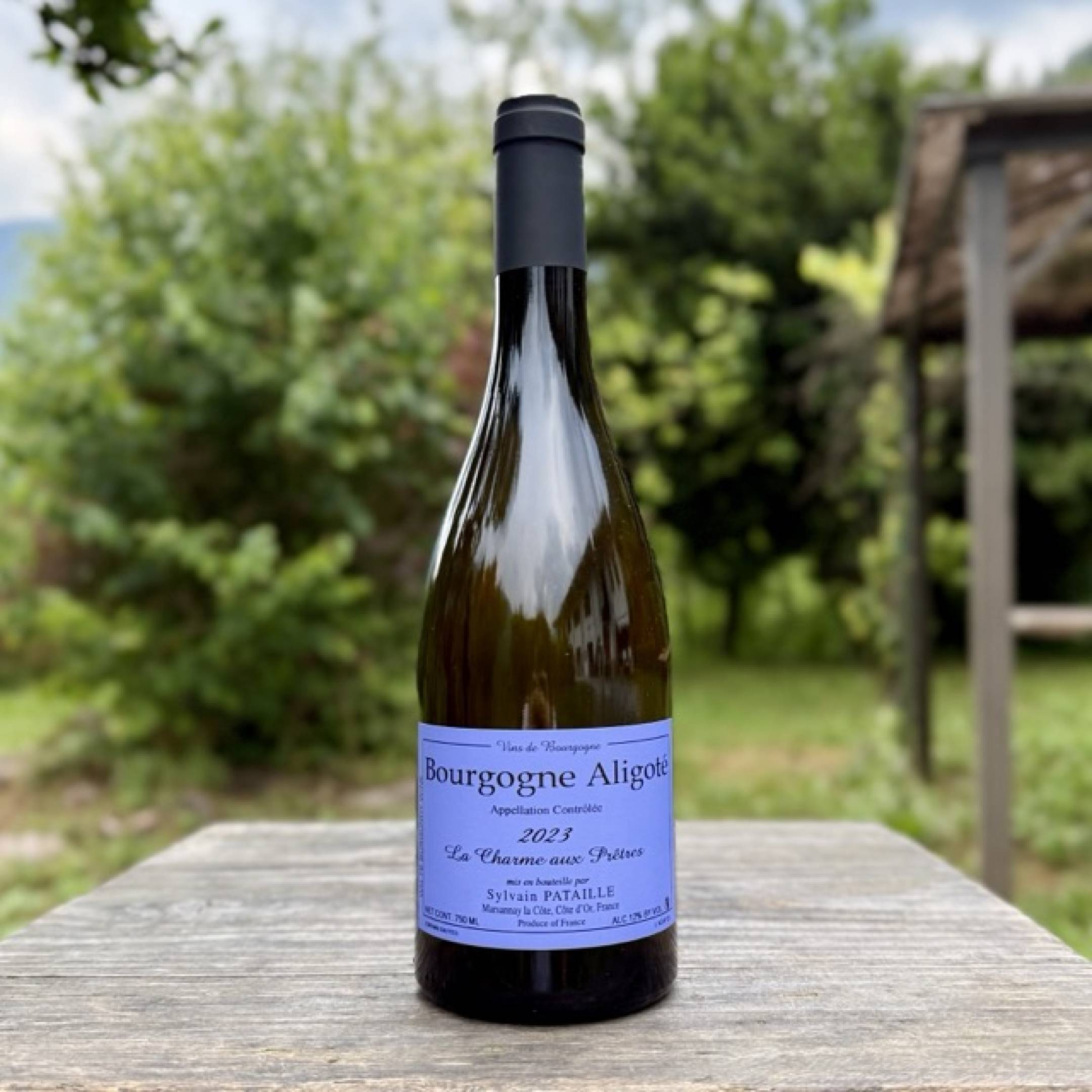 Sylvain Pataille Bourgogne Aligote La Charme aux Pretres