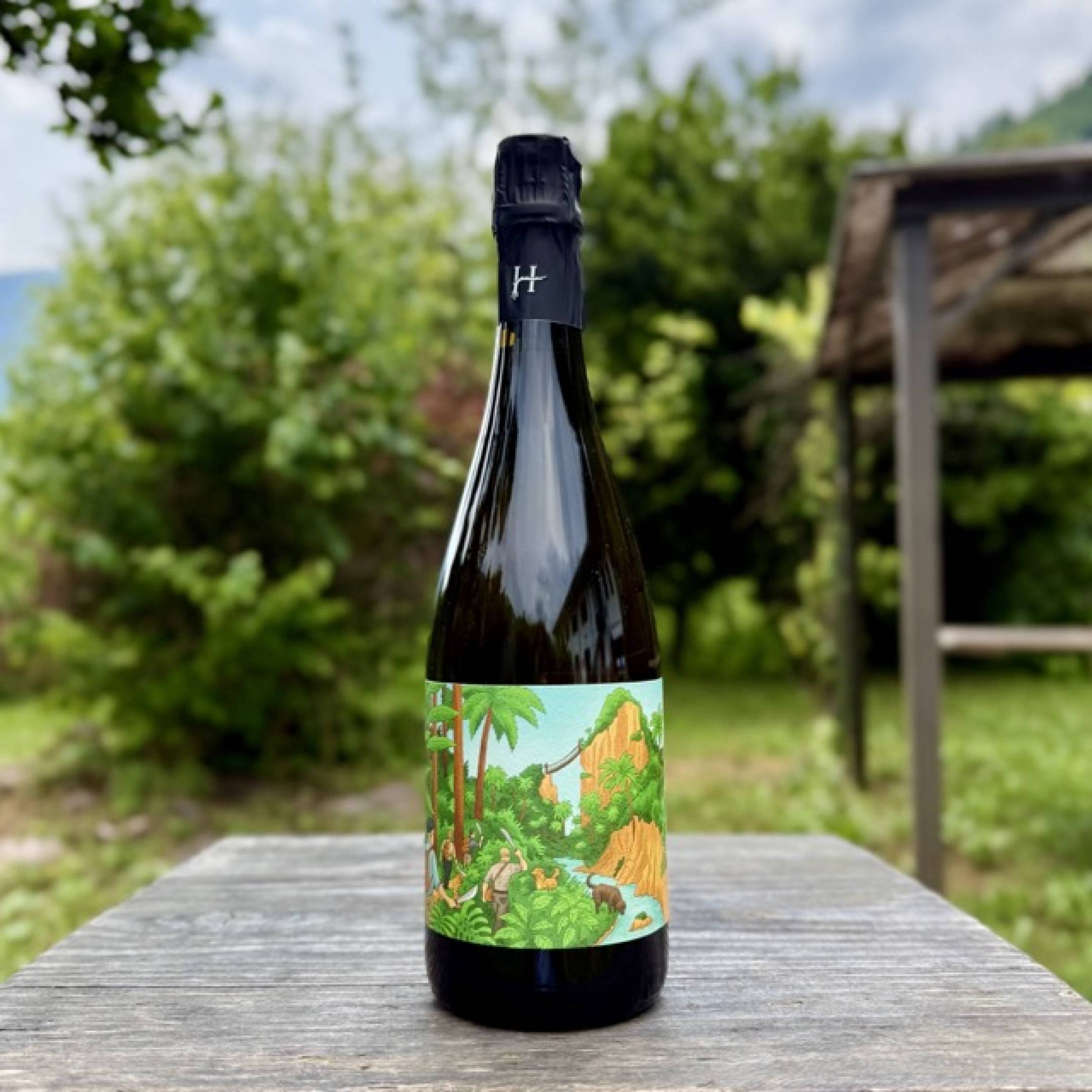 Romain Henin La Bulle Libre - Chapitre 2 Brut Nature