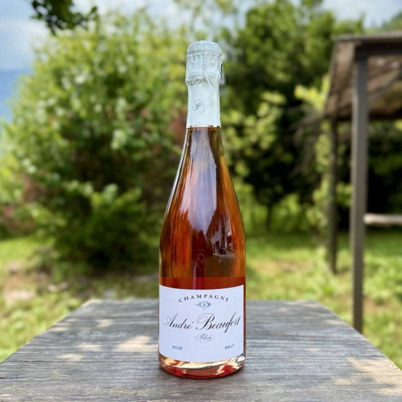 Polisy Rose Reserve