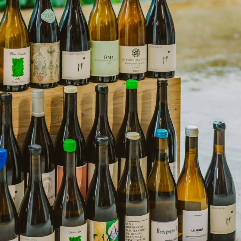 WILD VIGNERON DROP - Borgogna Moderna