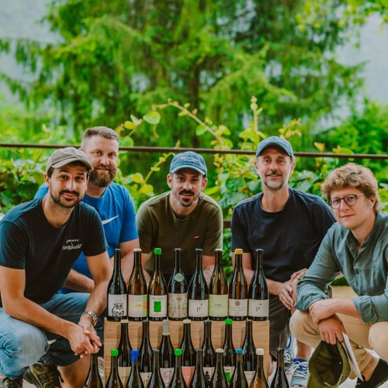 WILD VIGNERON DROP - Borgogna Moderna
