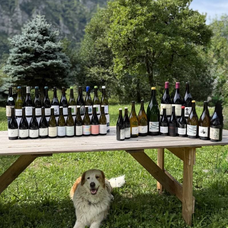 WILD VIGNERON DROP - Borgogna Moderna