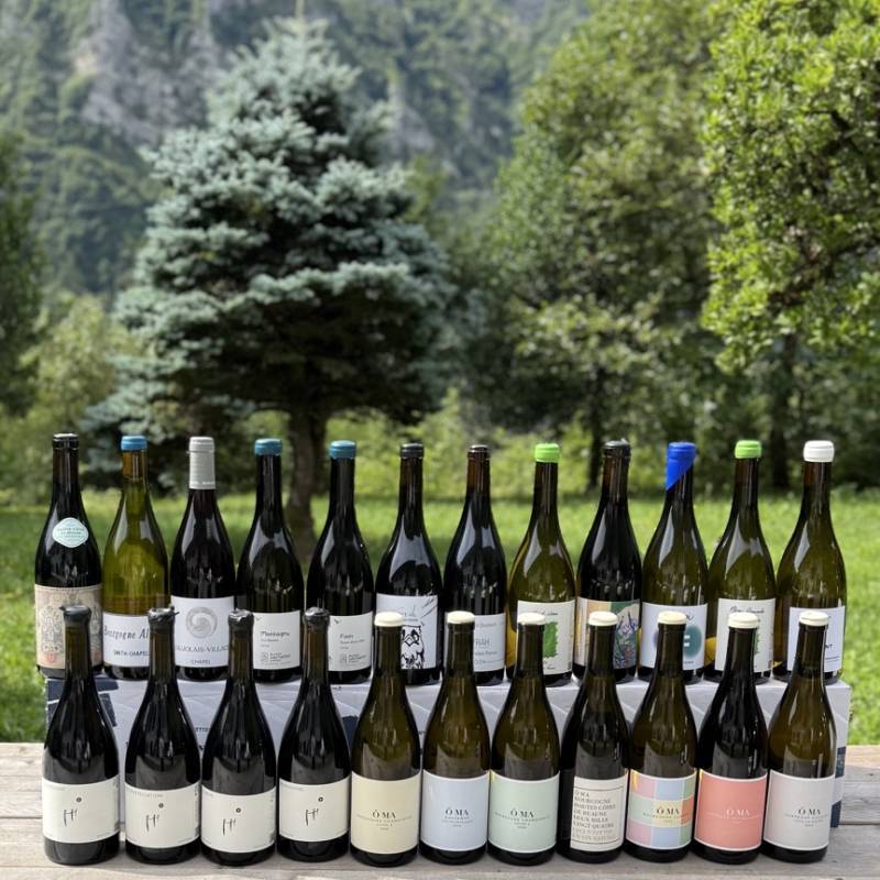 WILD VIGNERON DROP - Borgogna Moderna
