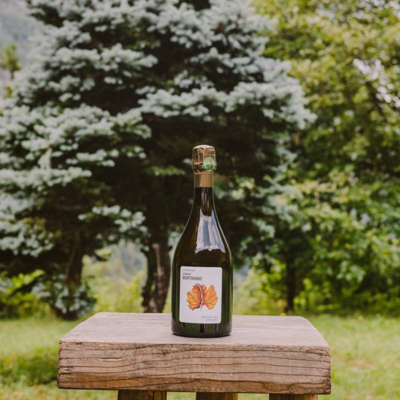Champagne Cuvee Millesime 2020