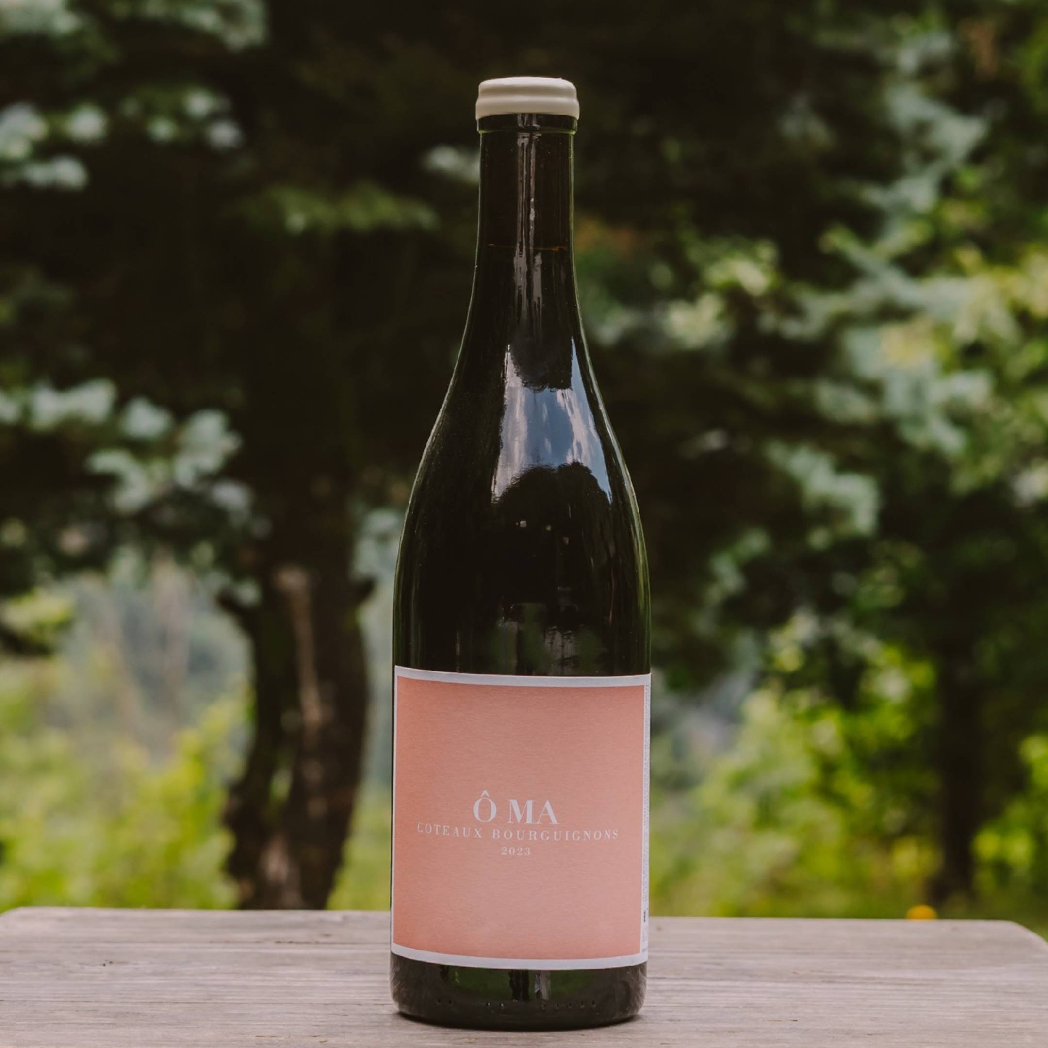 OMA Santenay Coteaux-Bourguignons Rouge