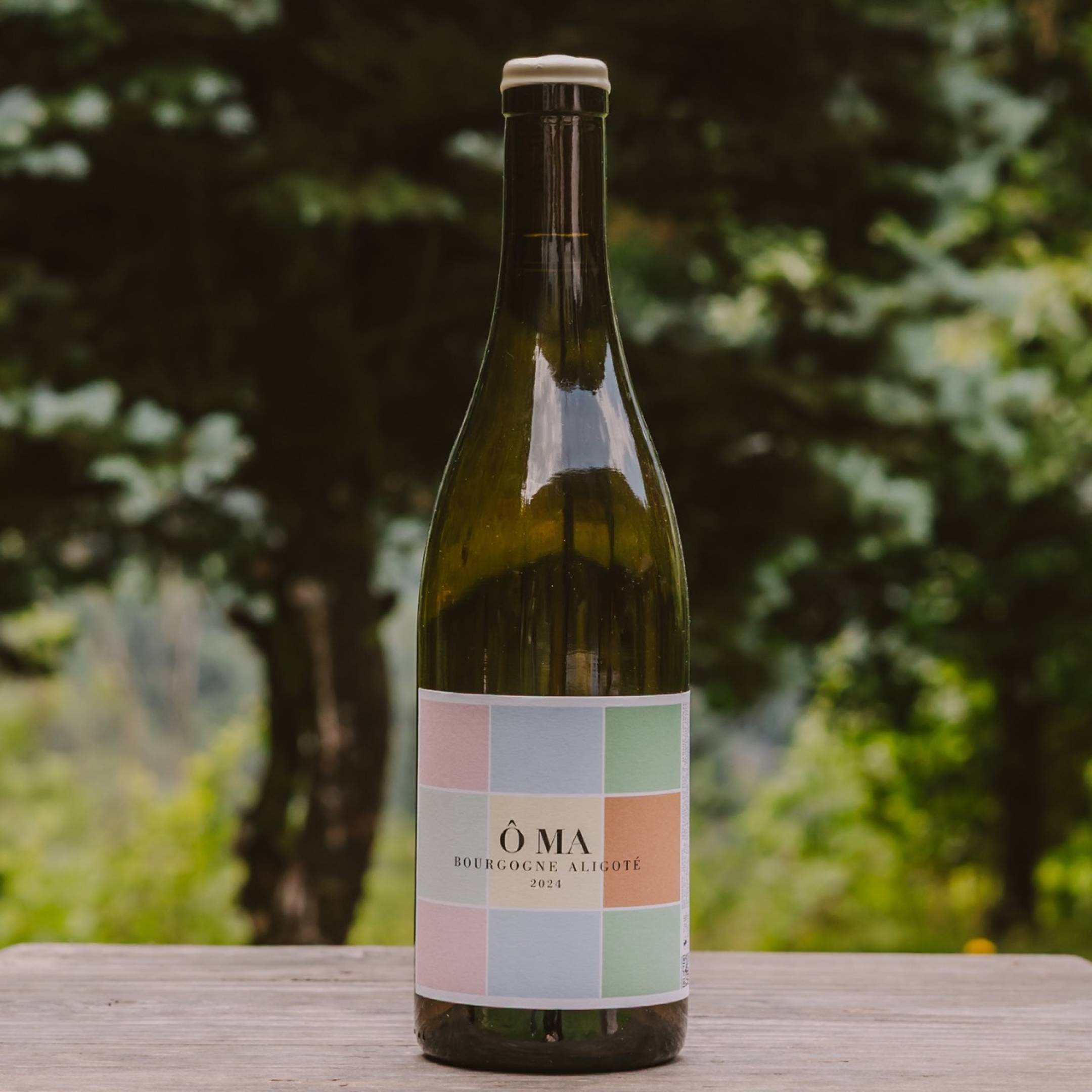 OMA Santenay Bourgogne Aligote