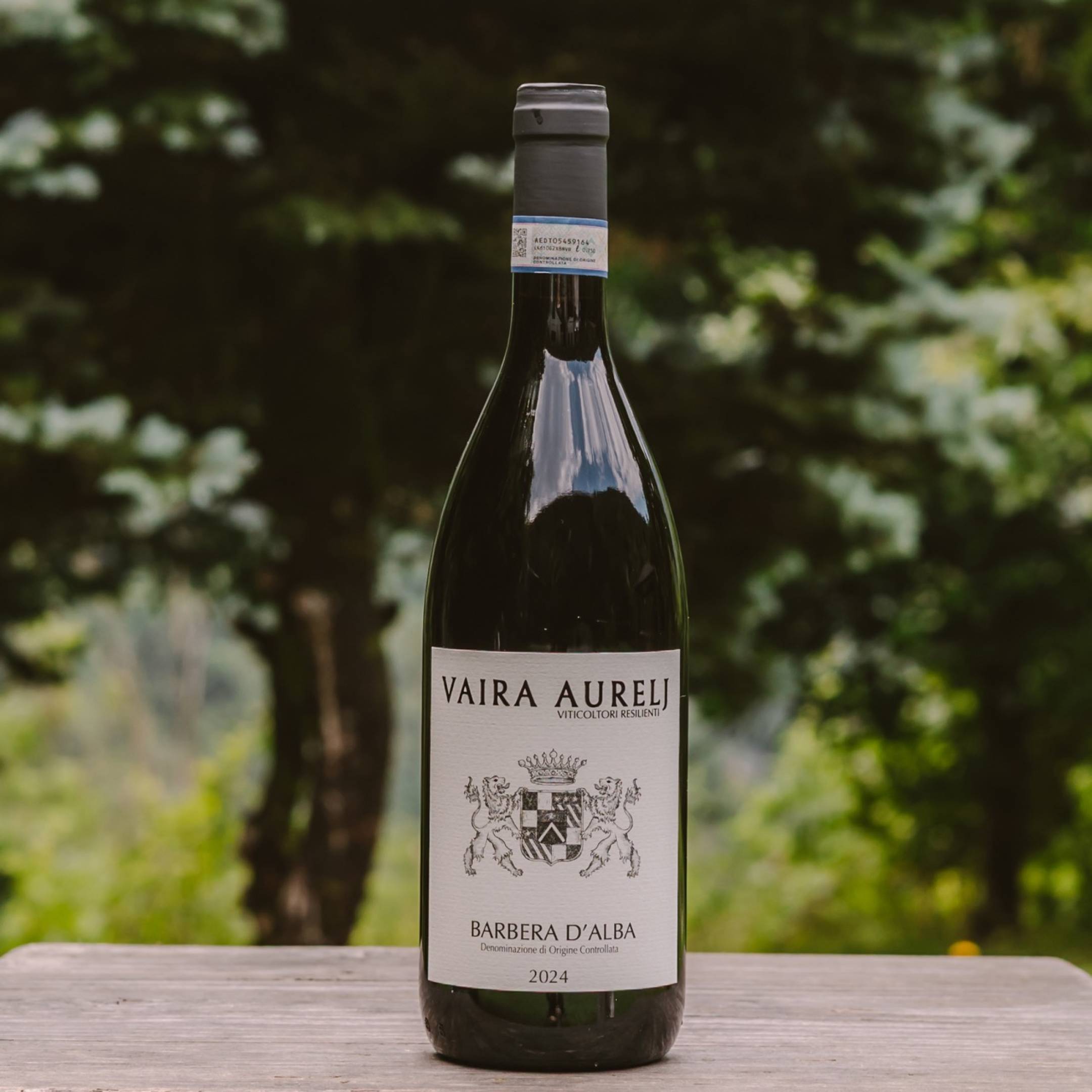 Vaira Aurelj Barbera d'Alba