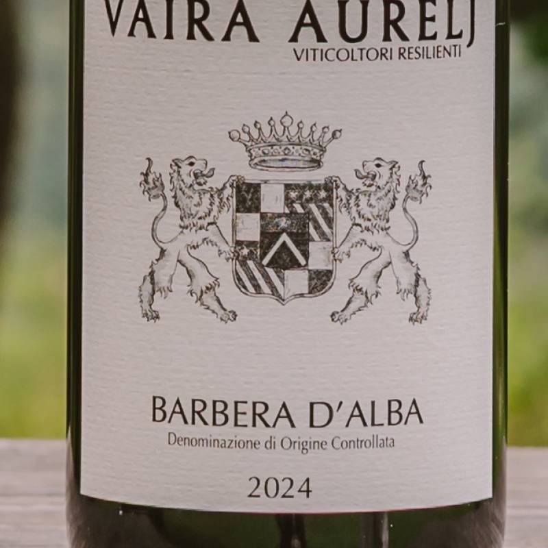 Barbera d'Alba