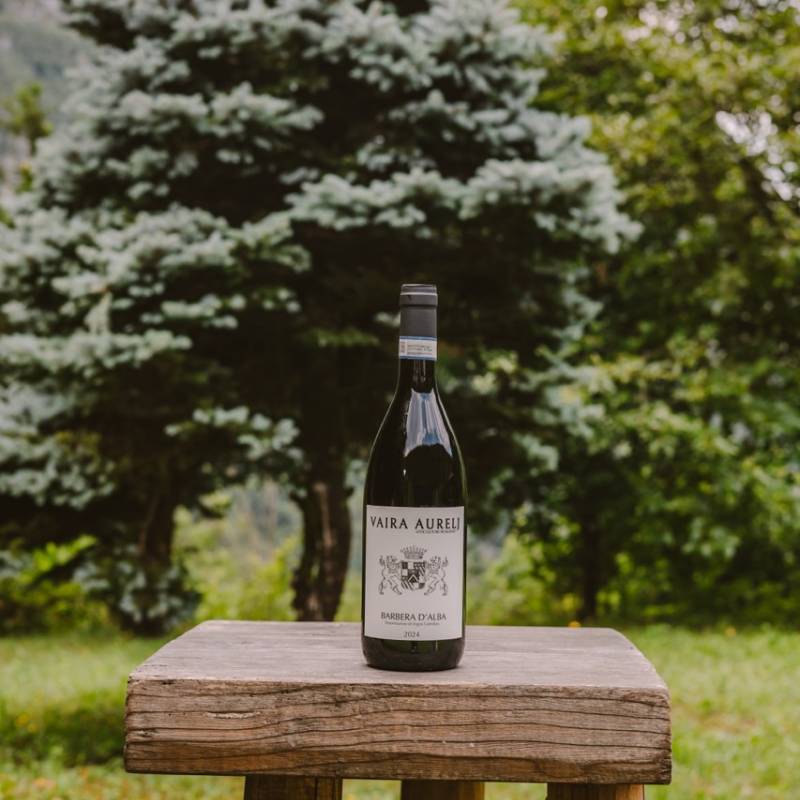 Barbera d'Alba