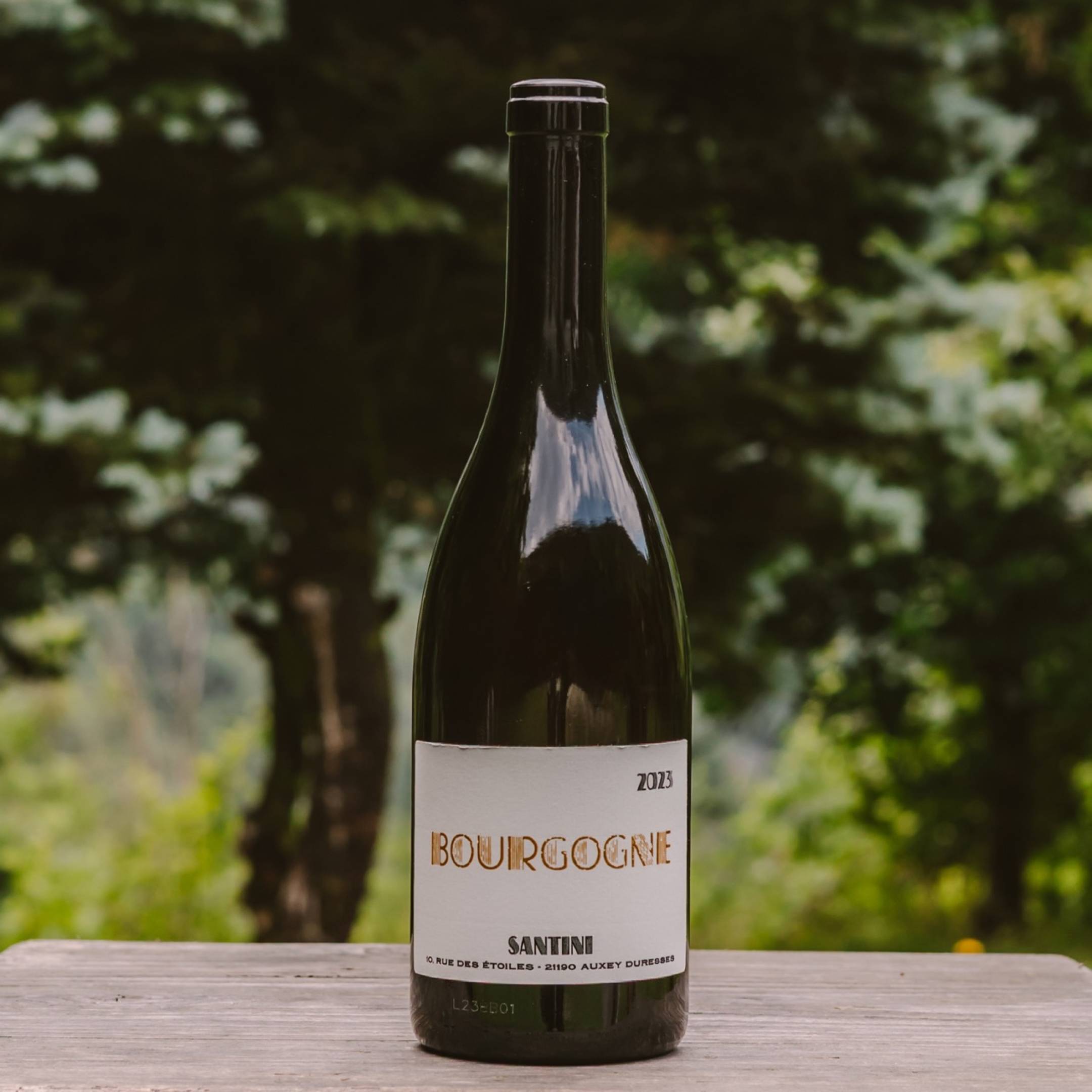 Santini Bourgogne Blanc